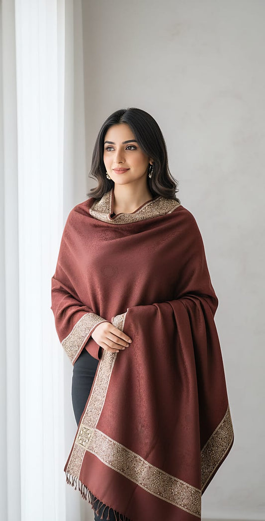 The Luxe Earth-Tone Bordered Shawl/ Pashmina Style/ women's winter formal shawl